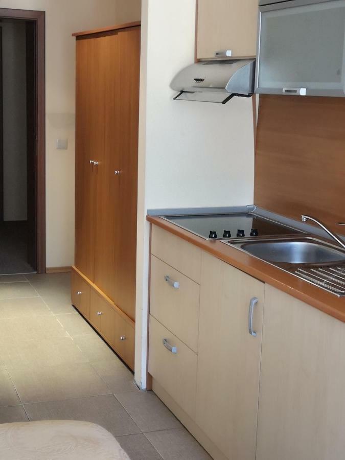 Excellent Studios For Your Vacation-Hotel Villa Park- بوروفتس المظهر الخارجي الصورة